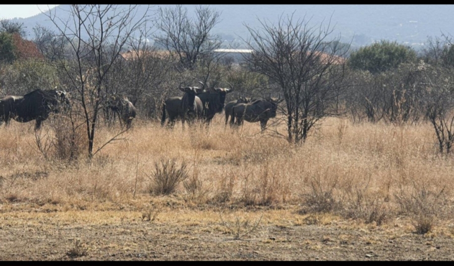 0 Bedroom Property for Sale in La Camargue Private Country Estate North West